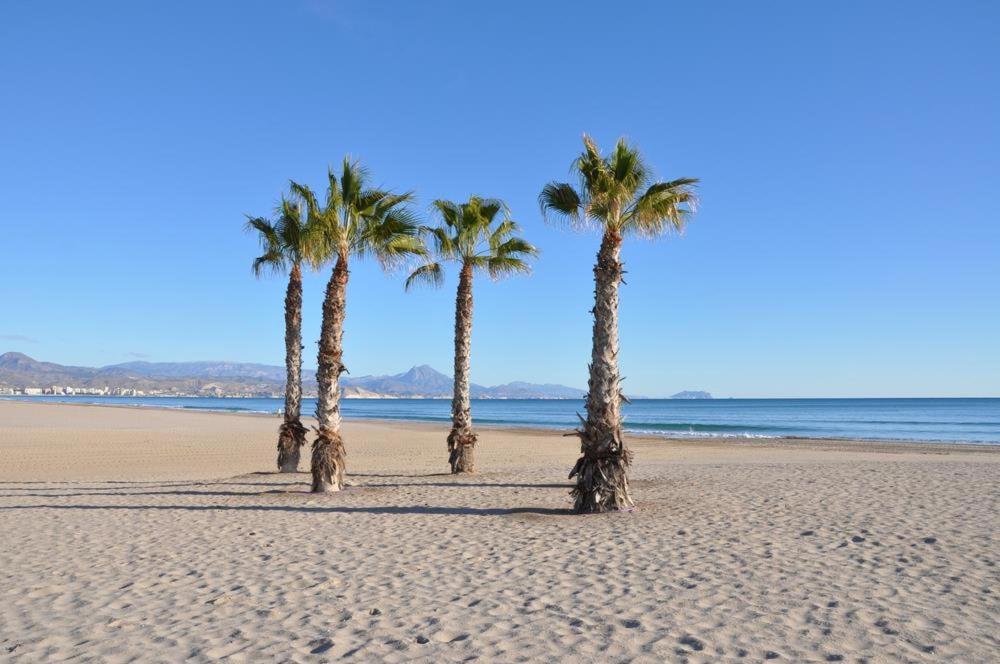 Playa De San Juan Apartment Benimagrell Zewnętrze zdjęcie